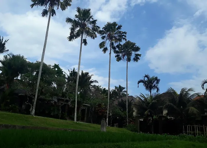 Asri Sari Ubud (Bali)